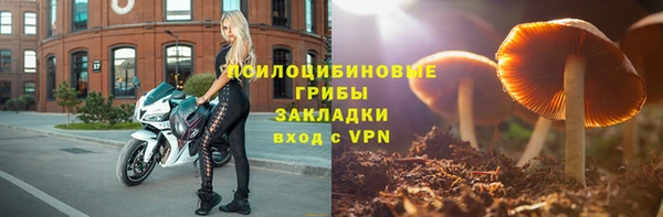 герыч Бикин
