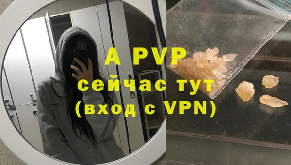 ГАЛЛЮЦИНОГЕННЫЕ ГРИБЫ Покровск