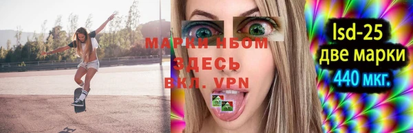 ГАЛЛЮЦИНОГЕННЫЕ ГРИБЫ Покровск