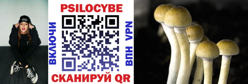 закладки  Симферополь  Галлюциногенные грибы MAGIC MUSHROOMS 