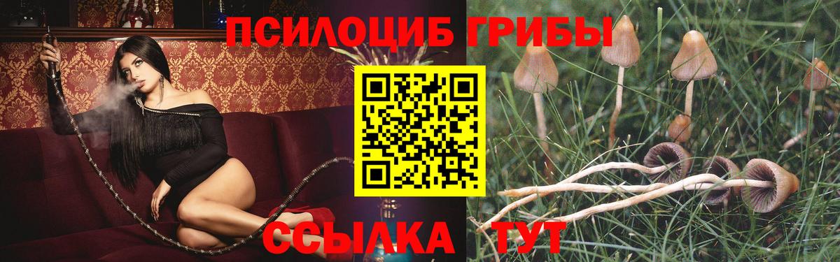 Симферополь  Галлюциногенные грибы GOLDEN TEACHER  Вход с VPN 
